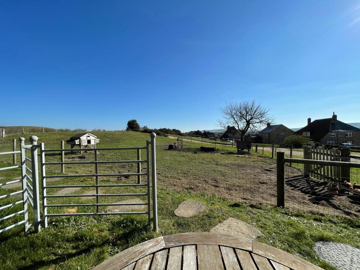 Surf Shack - Impeccable 1-Bed Cottage In Shorwell Exterior foto