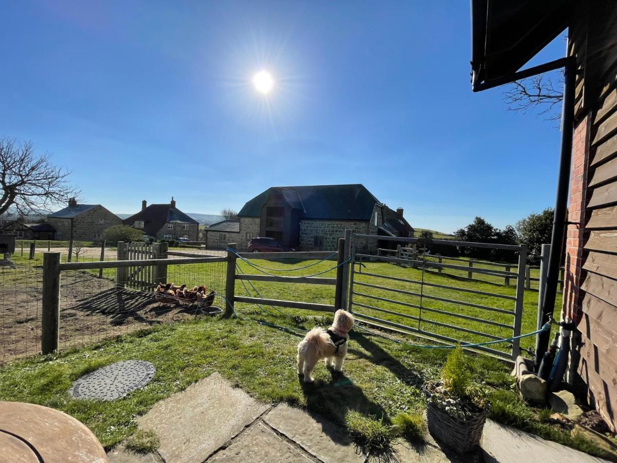 Surf Shack - Impeccable 1-Bed Cottage In Shorwell Exterior foto